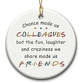 SOL VIBES Coworker Xmas Hanging Ornaments, Motivational Gift for Colleague Women Friend Coworkers Leaving - Retirement Social Worker BFF Ornament Keepsake Gifts