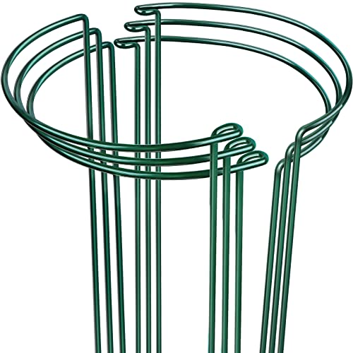 LEOBRO Plant Support Plant Stakes, 6pcs Peony Cages and Supports, Metal Garden Stakes Plant Supports, Plant Support Stakes, for Peony, Tomato, Hydrangea, Indoor Outdoor Plants, 10" W x 15.8" H