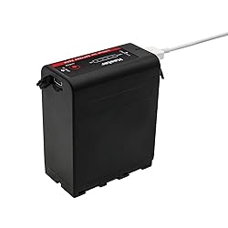 Kastar NP-F990EXP Multifunctional Battery