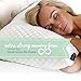 Camden Hill Memory Foam Tencel Pillow (Queen)