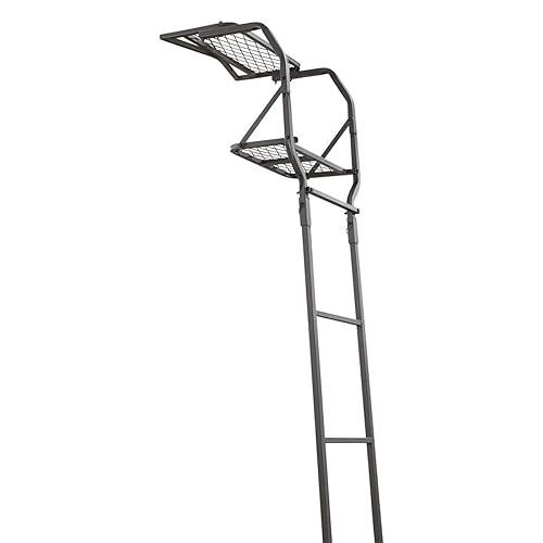Best Ladder Tree Stands
