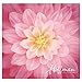 Dream Big~Wild Rose~Digital 43