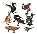 Ericoo Animal Toys Set Educational Resource High Simulation Australian Animals Figures with CPC Approval ASTM Test -Anim005