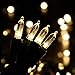 Brizled Indoor LED String Lights, 100 LED 33ft Mini String Lights, 120V UL Certified Fairy Lights for Indoor and Outdoor, Mothers Day, Patio, Garden, Party and Holiday Decorations, Warm White(3000K)