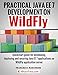 Practical Java EE 7 Development on WildFly