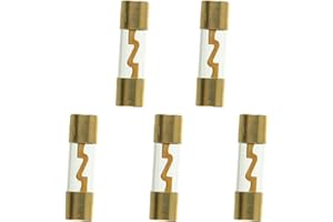 SIGANDG 100A AGU Fuse Gold Plated Glass Car Audio for Car Auto Marine Audio Stereo Amplifier Power Protection (Pack of 5)
