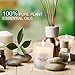 YINUO LIGHT Scented Candles Gifts Set for Women, 8 x 2.5 Oz Portable Glass Soy Candles with Strongly Fragrance Essential Oils for Stress Relief and Aromatherapythumb 3