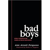 Bad Boys: Public Schools in the Making of Black Masculinity (Law, Meaning, And Violence)