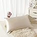 ALASKA BEAR - Natural Silk Pillowcase, Hypoallergenic, 19 Momme, 600 Thread Count 100 Percent Mulberry Silk, Queen Size with Hidden Zipper (1, Beige)