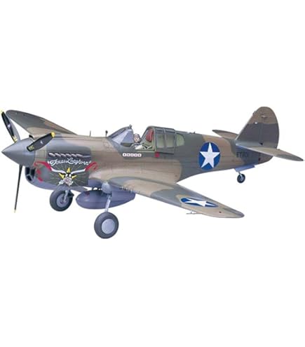 Amazon.com: Hasegawa 1/48 P-40E Warhawk : Arts, Crafts & Sewing