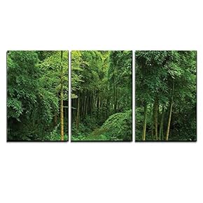 3 Piece Canvas Wall Art - Hidden Path in a Bamboo Forest - Modern Home Art Stretched and Framed Ready to Hang - 16"x24"x3 Panels