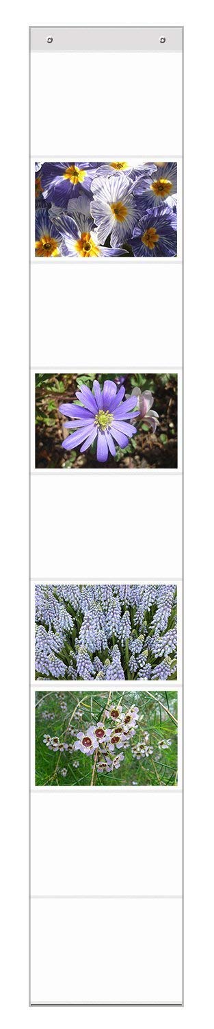 trendfinding DIN A4 Curtain with 9 Pockets Landscape Format Photo Wall Photo Gallery Photo Holder Pocket Curtain Photos A4 Documents (DIN A4 Landscape Format)