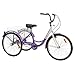 Royal London Adult Tricycle 3 Wheeled Trike Bicycle w/Wire Shopping Basket Purplethumb 1
