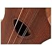Seagull Merlin M4 G Mahogany Mountain Dulcimer (Numbered Frets)