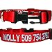 GoTags Personalized Dog Collars, Custom Embroidered Pet ID, Available in Soft Leather with Rounded Edges for Comfort Fit or Woven Nylon with Snap Closure Buckle, Great Alternative to Pet Tags