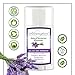 Natural Deodorant Stick Aluminum Free Lavender 2.9 oz Healthy Deodorant | GMO-Free | 100% Non-Toxic Deodorant | All Day Protection | Non Irritating | Non Sticky | Great Smelling Lavender Scent