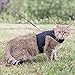 CHERPET Cat Harness and Leash - Escape Proof Safety Adjustable Jackets Harnesses 1.5m Strap Easy for Walking Outdoor Outfits Soft Mesh Breathable Vest Black Comfort Fit for Small Animals ¡­