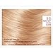 L'Oreal Paris ExcellenceAge Perfect Layered Tone Flattering Color, 8G Medium Soft Golden Blonde (Packaging May Vary)