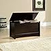 Sauder Shoal Creek Storage Chest, Toy Storage Chest for Living Room, Storage Trunk, in Jamocha Wood
