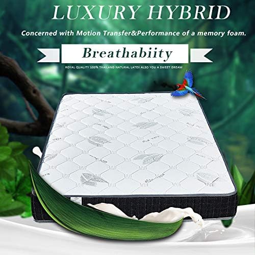 Authentic Talatech 230 Thread Count Latex Foam Firm Density Pillow - Queen