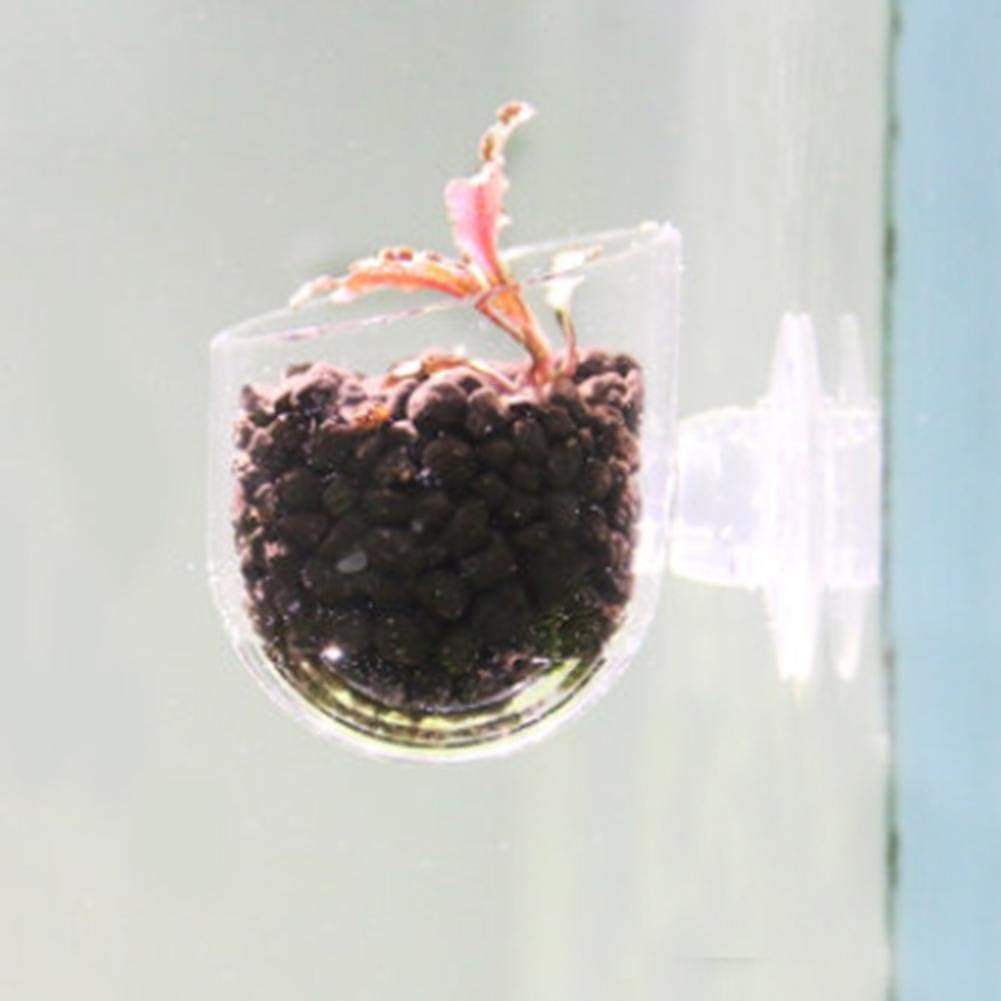 Aquarium Red Worm Fish Feeder Transparent Suction Cup Fish Tank Feeding Cup Food Container for Feeding Shrimp Fish(Acrylic Crack Cup) - Image 3