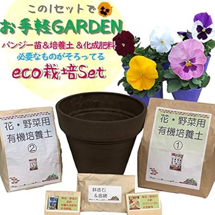 Amazon Co Jp 春まで咲いて永く楽しめる パンジー栽培セット 5ポットセット ベテラン契約生産者さんが心を込めて育てた 極上パンジー ビオラ 寒さに強い 花苗 おまかせ 園芸 ガーデニング 寄せ植え 鉢花 鉢植え 苗木 花苗 誕生日 記念日 プレゼント 贈り物 パンジー Amazon Co Jp 春まで咲いて永く楽しめる パンジー栽培セット 5ポットセット ベテラン契約生産者さんが心を込めて育てた 極上パンジー ビオラ 寒さに強い 花苗 おまかせ 園芸 ガーデニング 寄せ植え 鉢花 鉢植え 苗木 花苗 誕生日 記念日 プレゼント 贈り物 パンジー