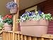 EMSCO Group Bloomers Railing Planter with Drainage Holes – 24