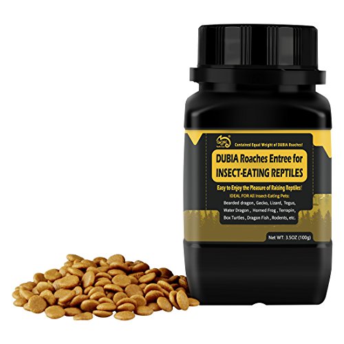 Reptile House DUBIA Roaches Entree for All Insect-Eating Reptiles Contained Equal Weight of Dubia Roaches, 3.5oz(100g) -
