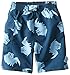 i play. by green sprouts Swim Trunks with Built-in Reusable Swim Diaper | Baby Boy Swimsuit | Lightweight, Patented Design