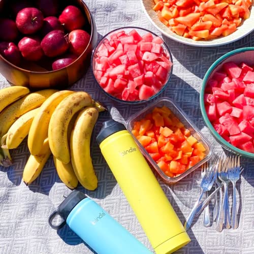 Bindle Bottle Vacuum Insulated Water Bottle, Stainless Steel & Double