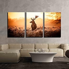 Red Deer in Morning Sun x3 Panels