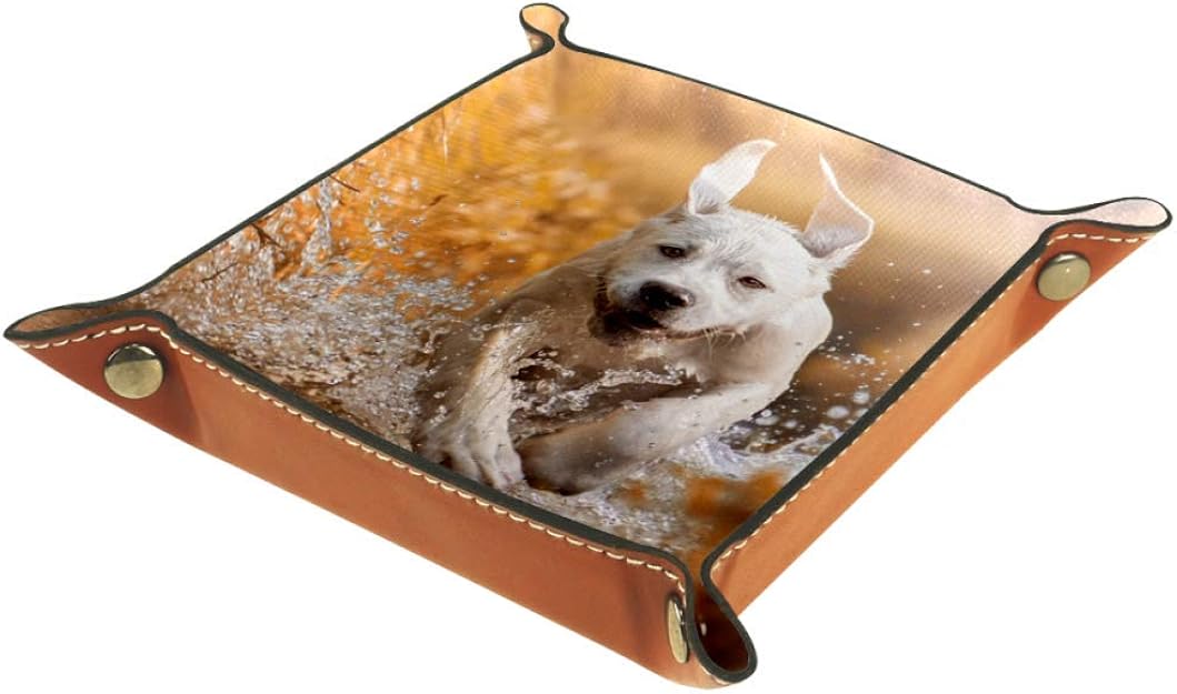 Xingruyun Perro Blanco en el Agua Bandeja Al Lado De La Caja De