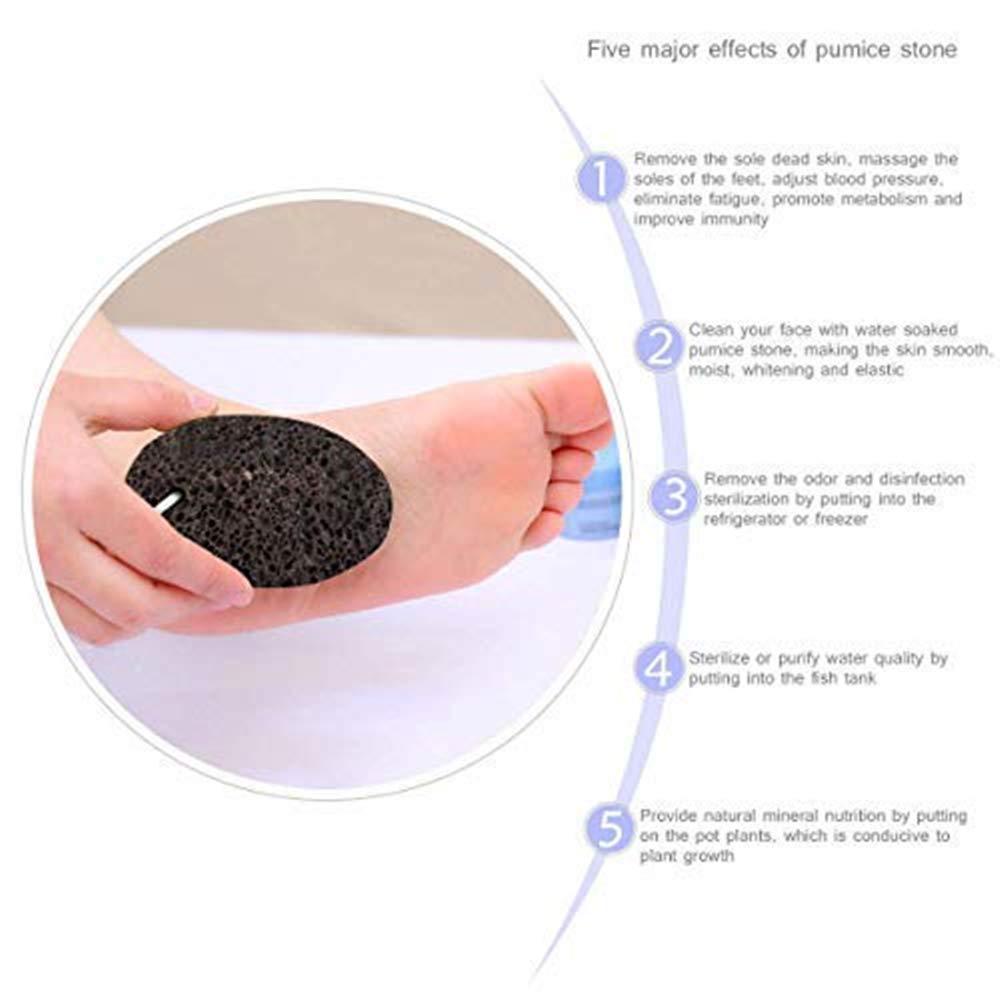 Veahom Long Handle Soft Dry Brush for body, Natural Bristle, Remove Dead Skin and Toxins, Clean lymphatic system, Stimulates Blood Circulation, Dense and Soft Brush Suitable for Women and Adults