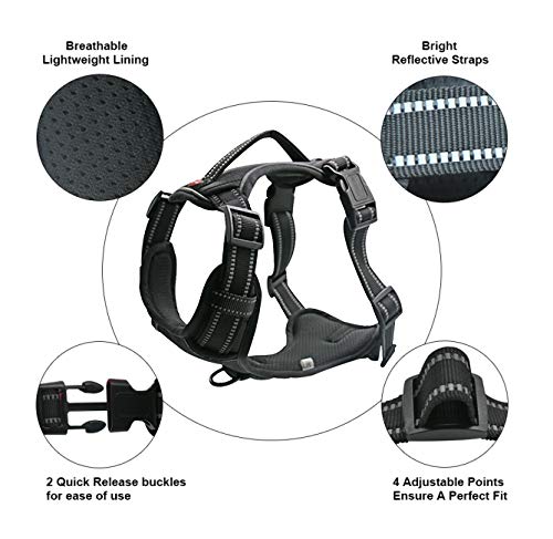 Dog Harness No Pull Dog Vest with Leash Adjustable & Reflective Pet Vest Harnesses and Leash Easy Control for Small Medium Large Dogs (Medium, Black)