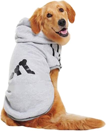 Kuqiqi Chien Chien Vêtement Pour Animaux Domestiques Automne