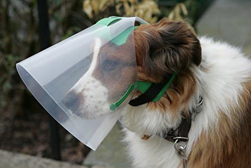 Novaguard dog cone Clearance