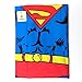 FASHION ALICE Superman Anime Cartoon Hero Character Series Modern Family Apron Couple Kitchen Aprons Funny Personality Sexy Originality Cooking Aprons Gift,Include A Bottle Opener