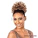 AFRO PUNK LARGE BY SHAKE N GO FREETRESS EQUAL DRAWSTRING PONYTAIL