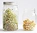 THINKCHANCES Food Safe,BPA Free Rust Resistant Stainless Steel Sprouting Screen Lids and Bands for Wide Mouth Mason Ball Canning Jars for Growing Organic Sprout Seeds at Your Home (Wide Mouth, 3 Pack)