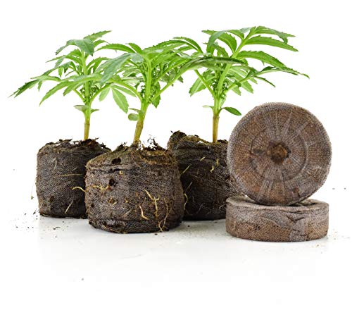 Jiffy Medium Pellets - Expands to 1-1/2" Diameter (36 mm) x 1-5/8" Tall - 100ct