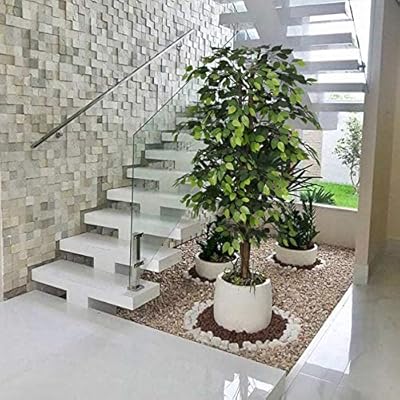 6 Ft Artificial Tree, 72 in Fake Tree, Faux Tree for Home Decor, Office, Lounge, Patio, w/t Green Leaves and Realistic… 51yvBWSIW6L