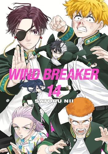 WIND BREAKER 12: Nii, Satoru: 9781646519590: Amazon.com: Books