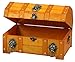 Vintiquewise(TM) Pirate Treasure Chest/Box with Lion Rings