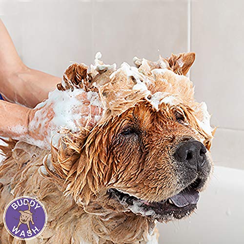 buddy wash original lavender & mint dog shampoo & conditioner