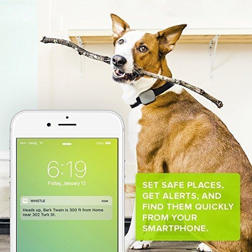 whisper dog tracker