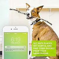 my dog is obsessed with tennis balls