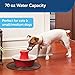 PetSafe Drinkwell Avalon Pet Water Fountain, Ceramic Drinking Fountain for Cats and Dogs, 70 oz. Water Capacity, Redthumb 1