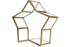 DIYEAH Glass Star Origami Jewelry Box with Lid – Large Preserved Flower Trinket Display Case Wishing Bottle