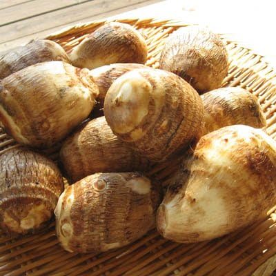 Amazon Co Jp 里芋 3kg Ll L玉 里いも さといも 新潟県 五泉市 渡辺農園 お歳暮 贈答品 お取り寄せ Food Beverage Alcohol