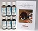Duncan TSKIT-1 Translucent Stains Paint Set, 6 Best Selling Colors in 2 Ounce Bottles with Free How To Paint Ceramics Book